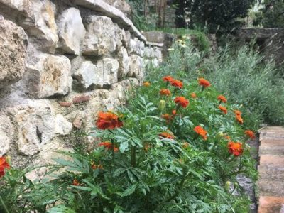 giardino