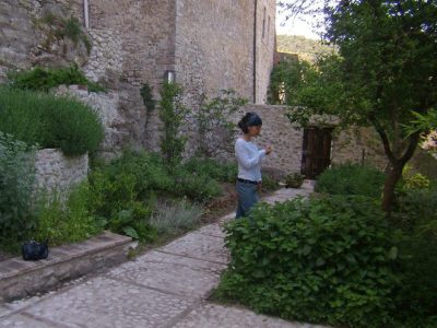 giardino